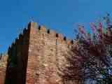 Silves castle
